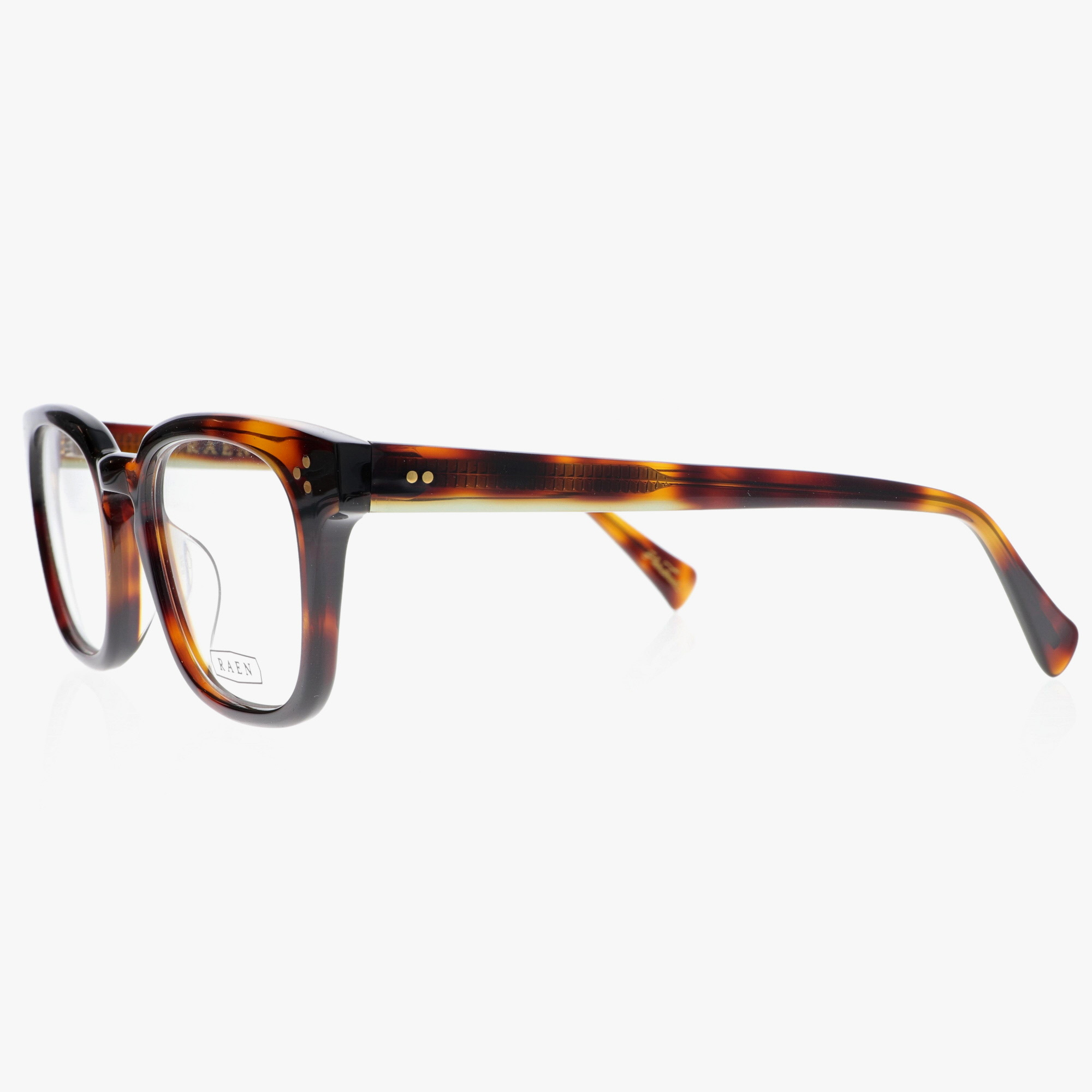 RAEN / CY / KOLA TORTOISE