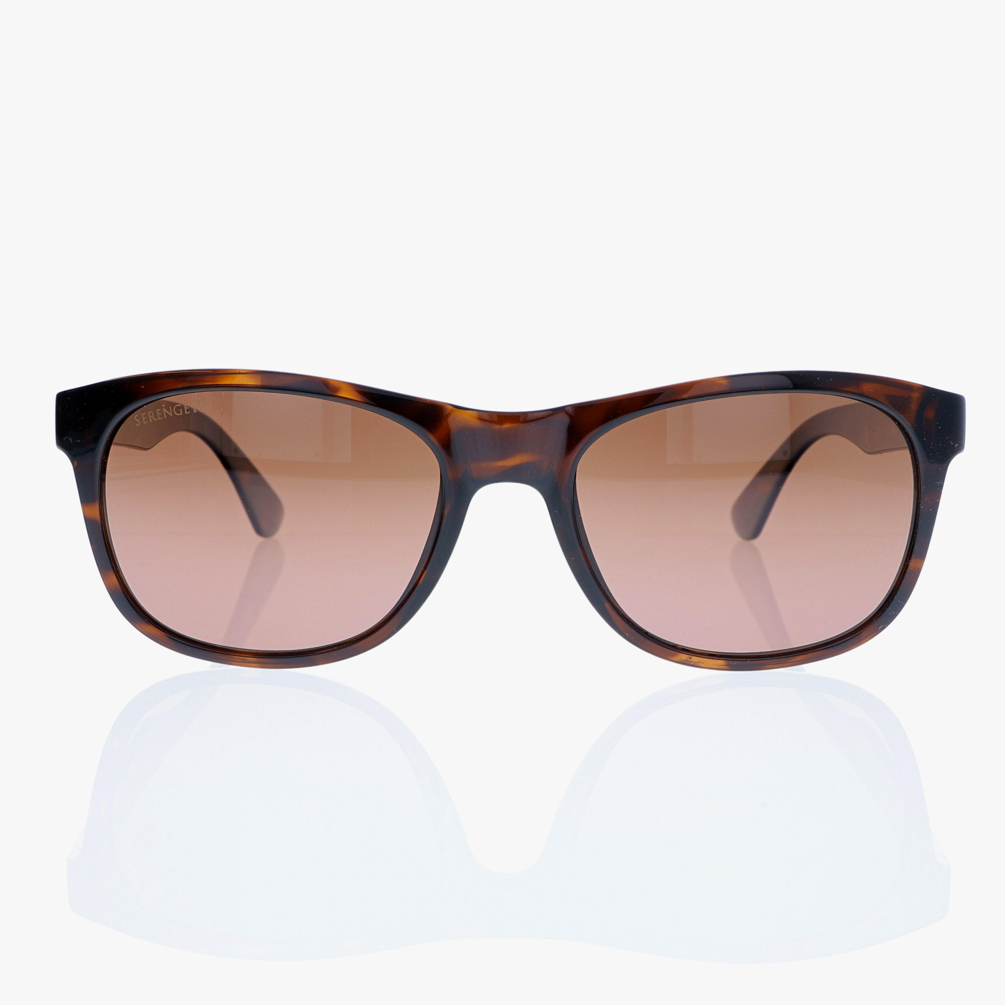 SERENGETI / ANTEO / DARK SHINY TORTOISE