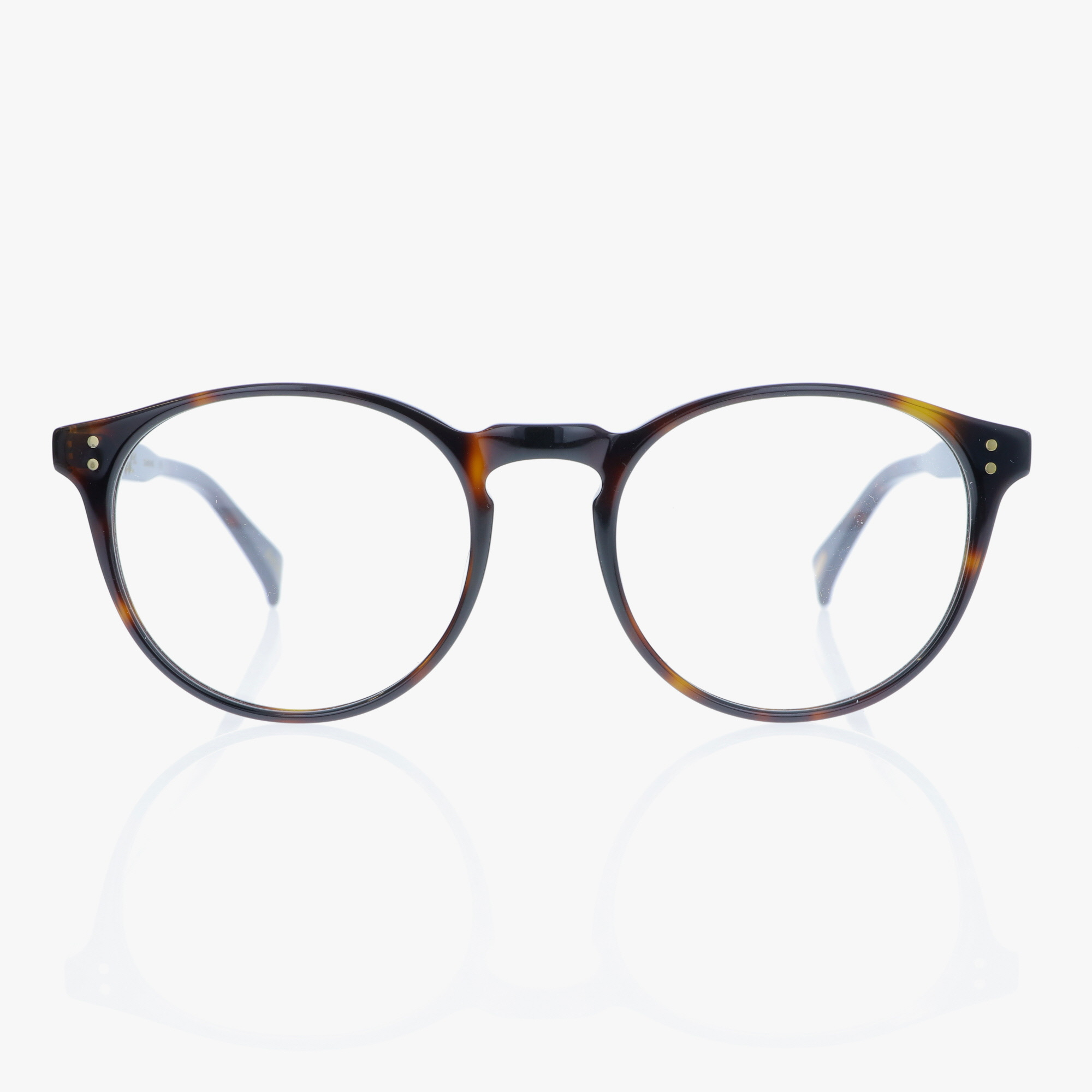 RAEN / BEAL / KOLA TORTOISE