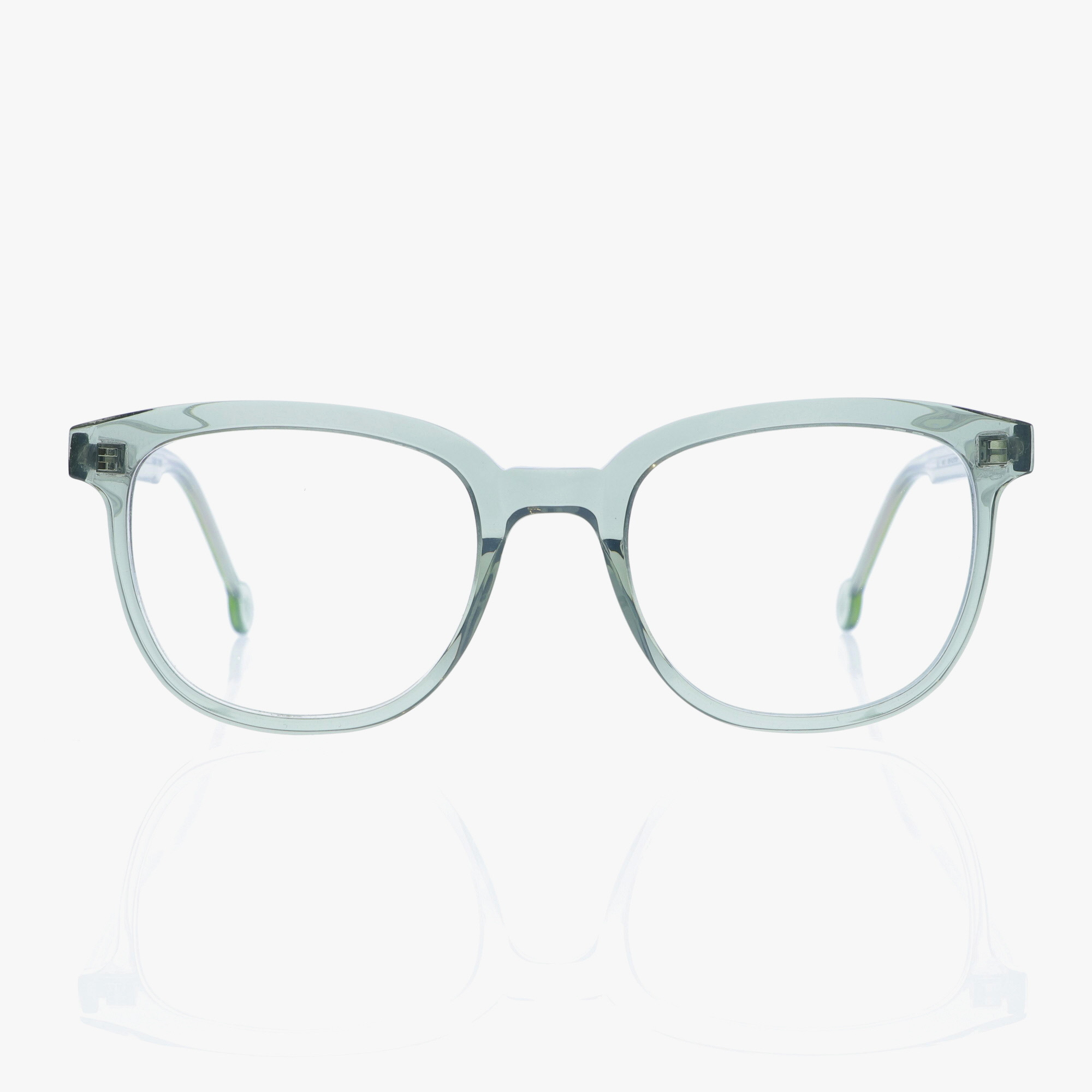 L.A.EYEWORKS / REMY / SEE THRU SAGE