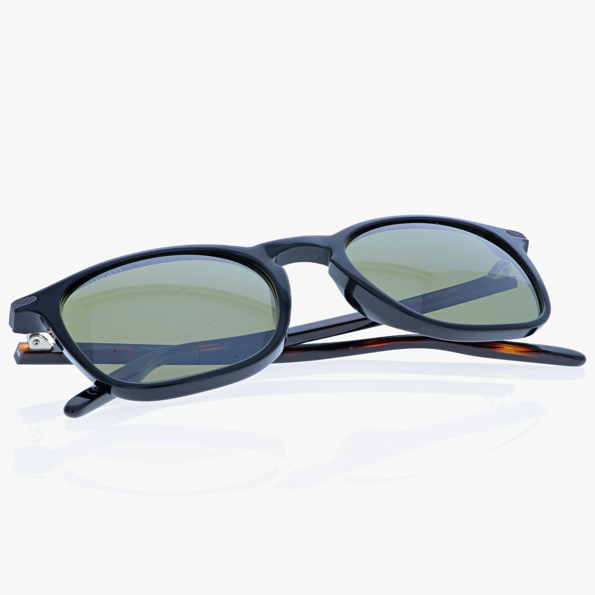 SERENGETI / DELIO / SHINY BLACK DARK TORTOISE