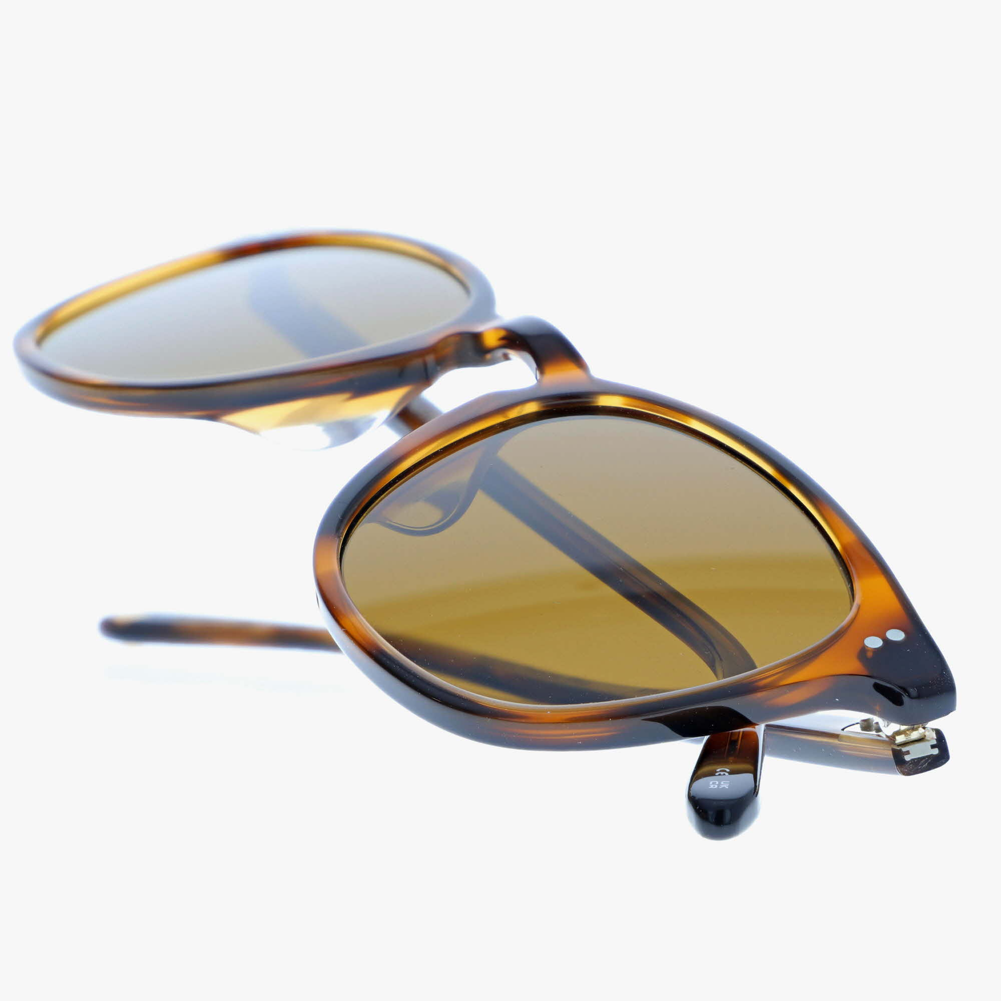 GARRETT LEIGHT / KINNEY SUN / SPOTTED BROWN SHELL