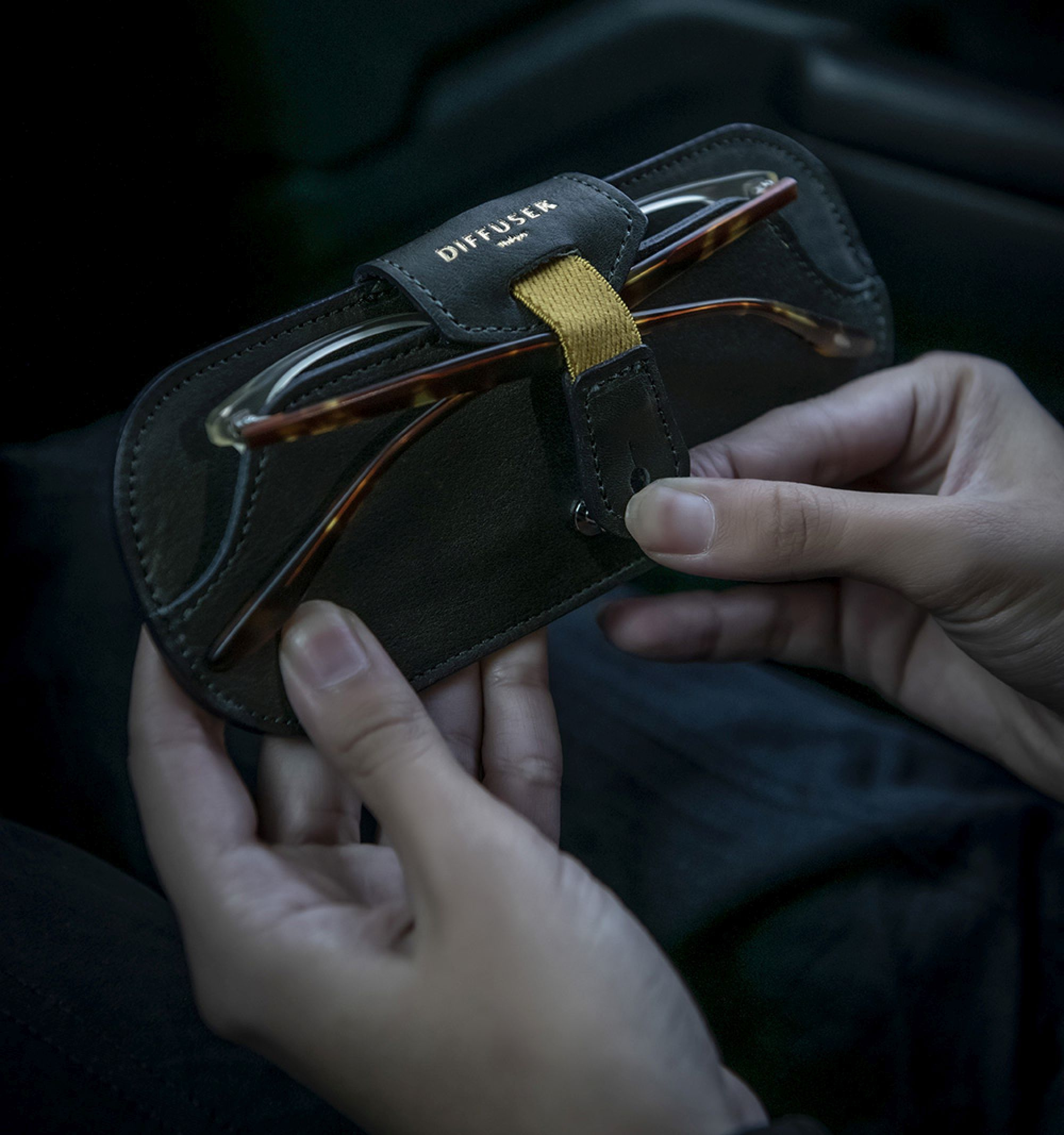 DIFFUSER TOKYO / OIL LEATHER SMART EYEWEAR CASE / DARK GREEN & BROWN