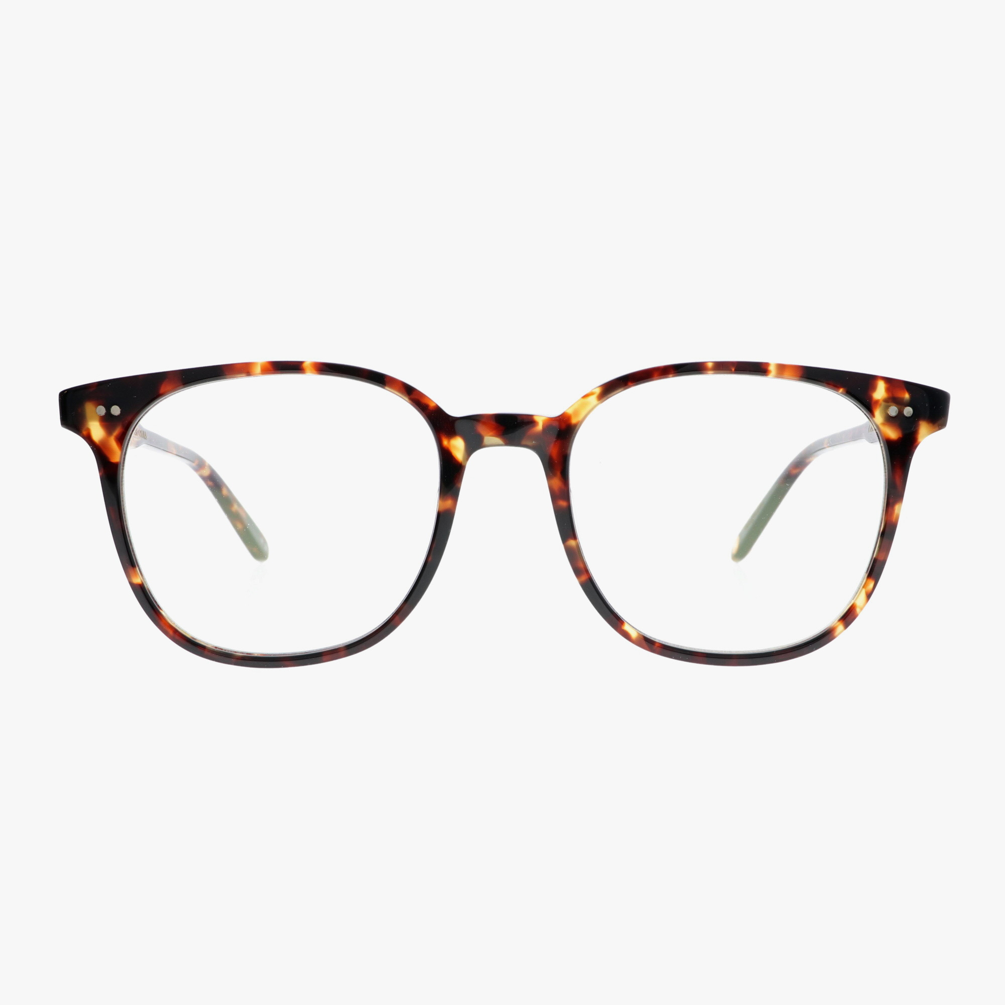 GARRETT LEIGHT / CARROL / AGATE TORTOISE