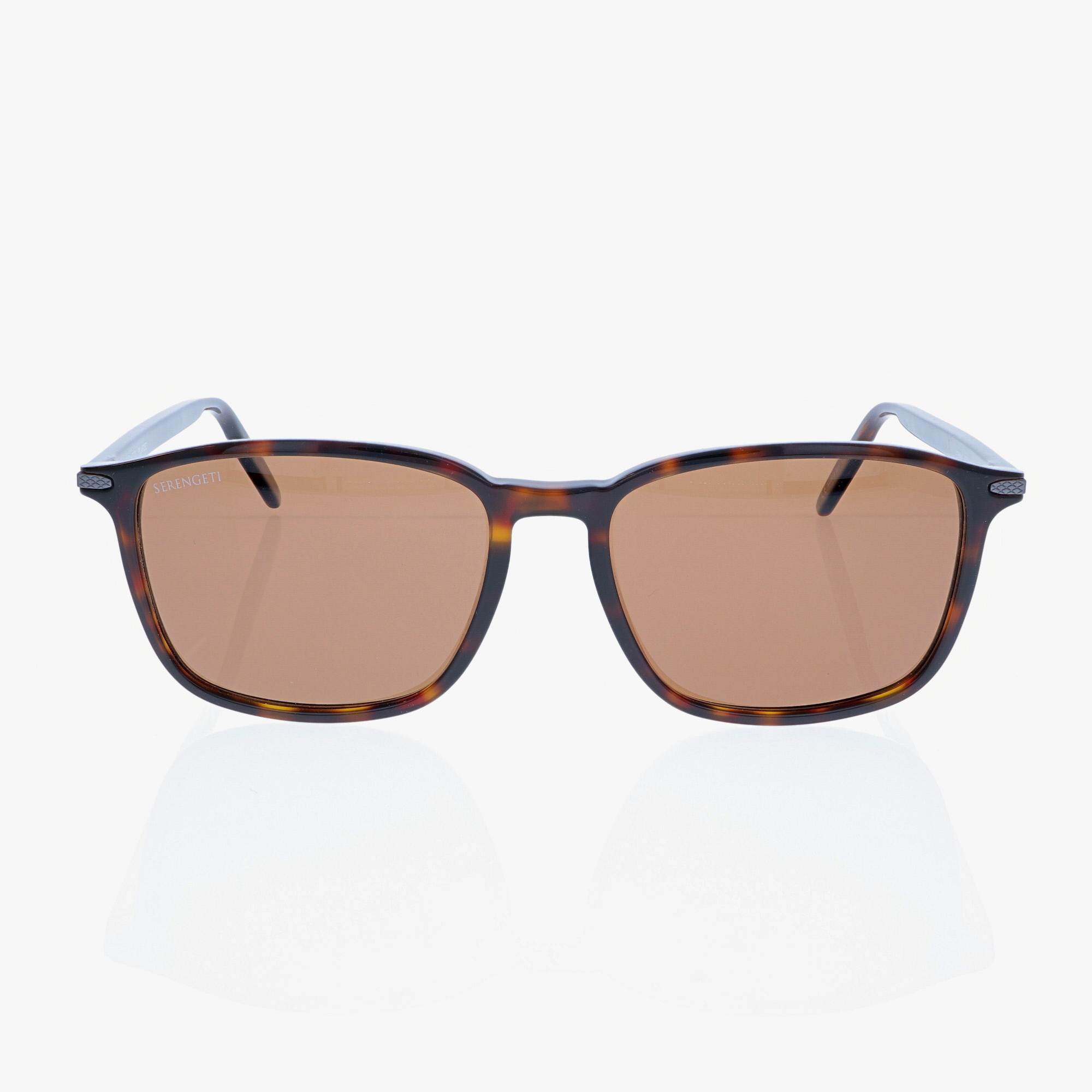 SERENGETI / LENWOOD / SHINY DARK HAVANA