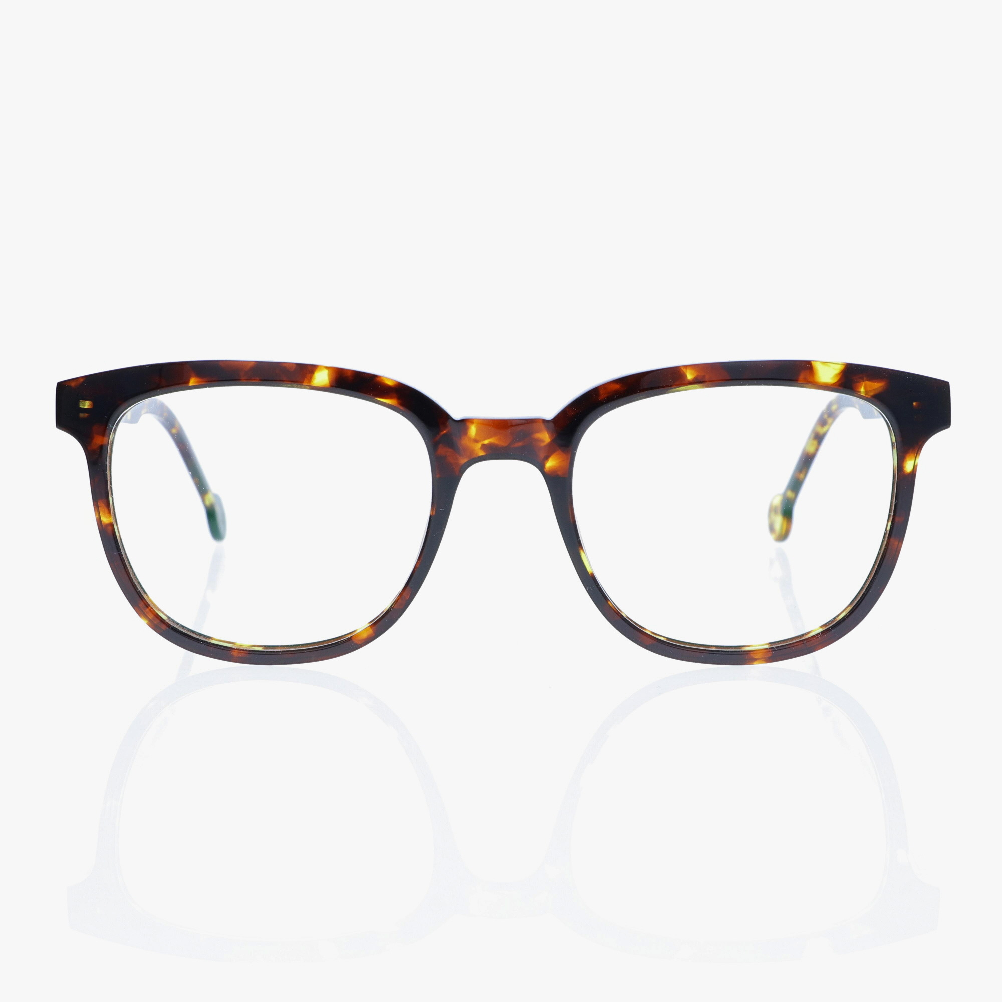 L.A.EYEWORKS / REMY / ROPPONGI TORTOISE