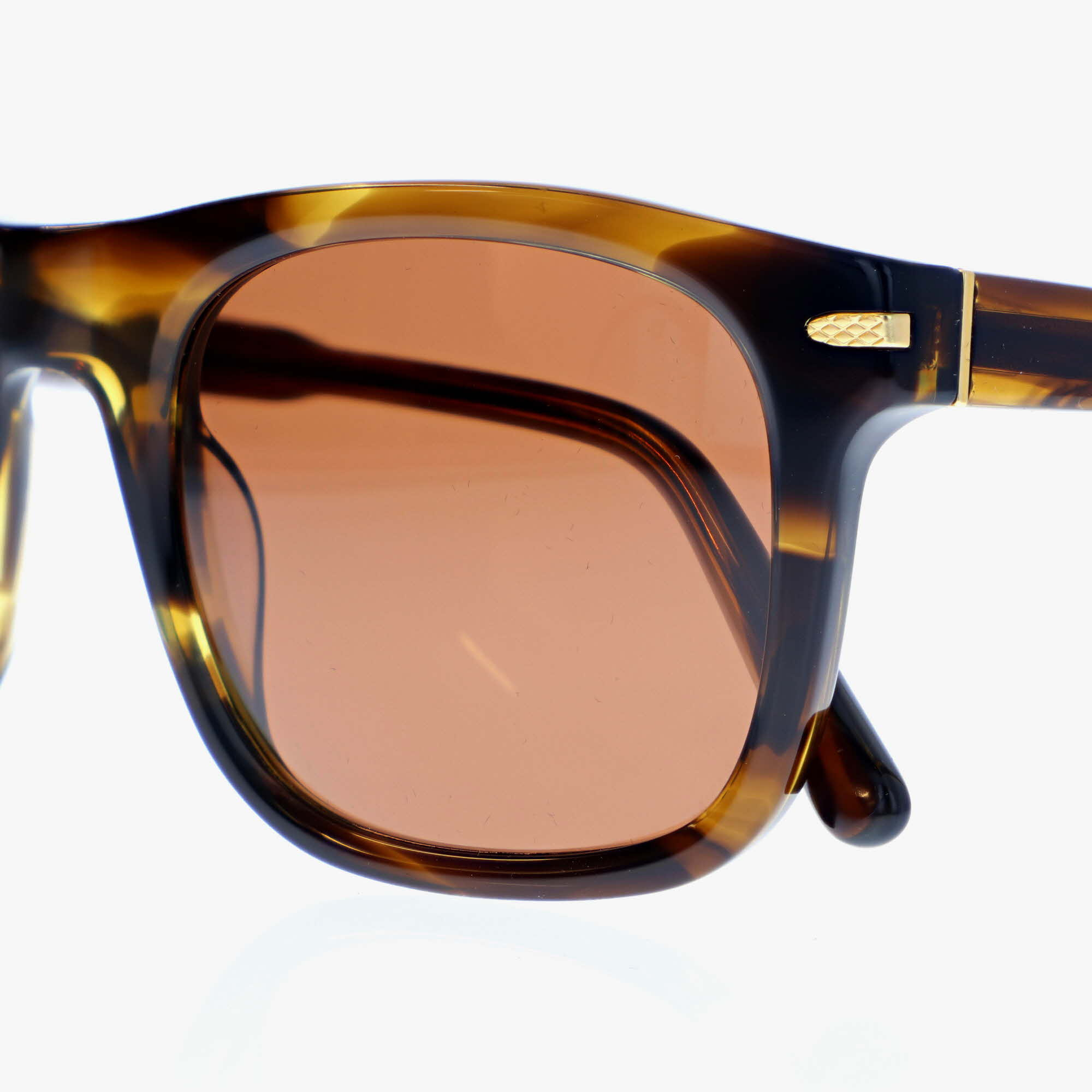 SERENGETI / CHARLTON / SHINY TORTOISE