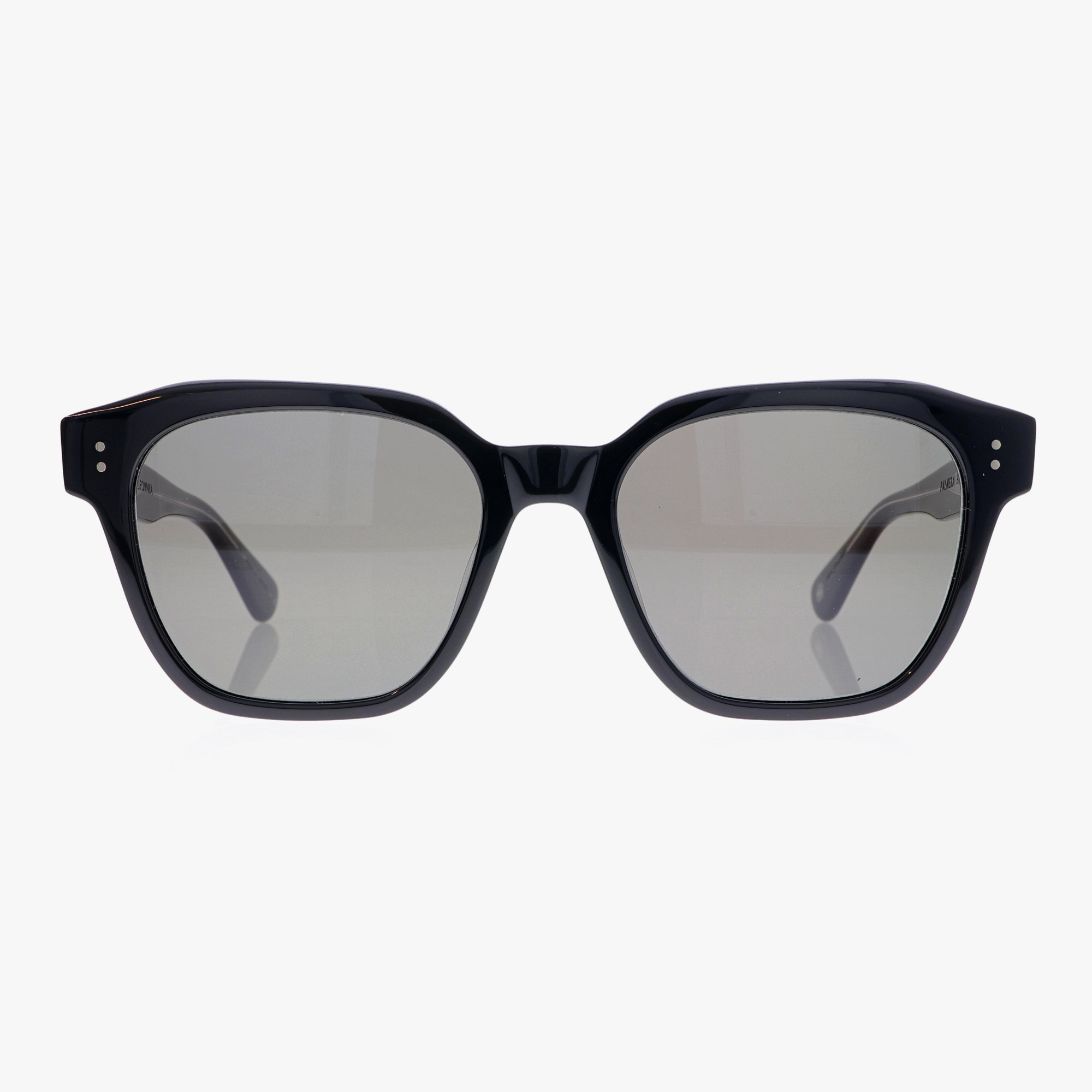 GARRETT LEIGHT / PALMERA SUN / BLACK