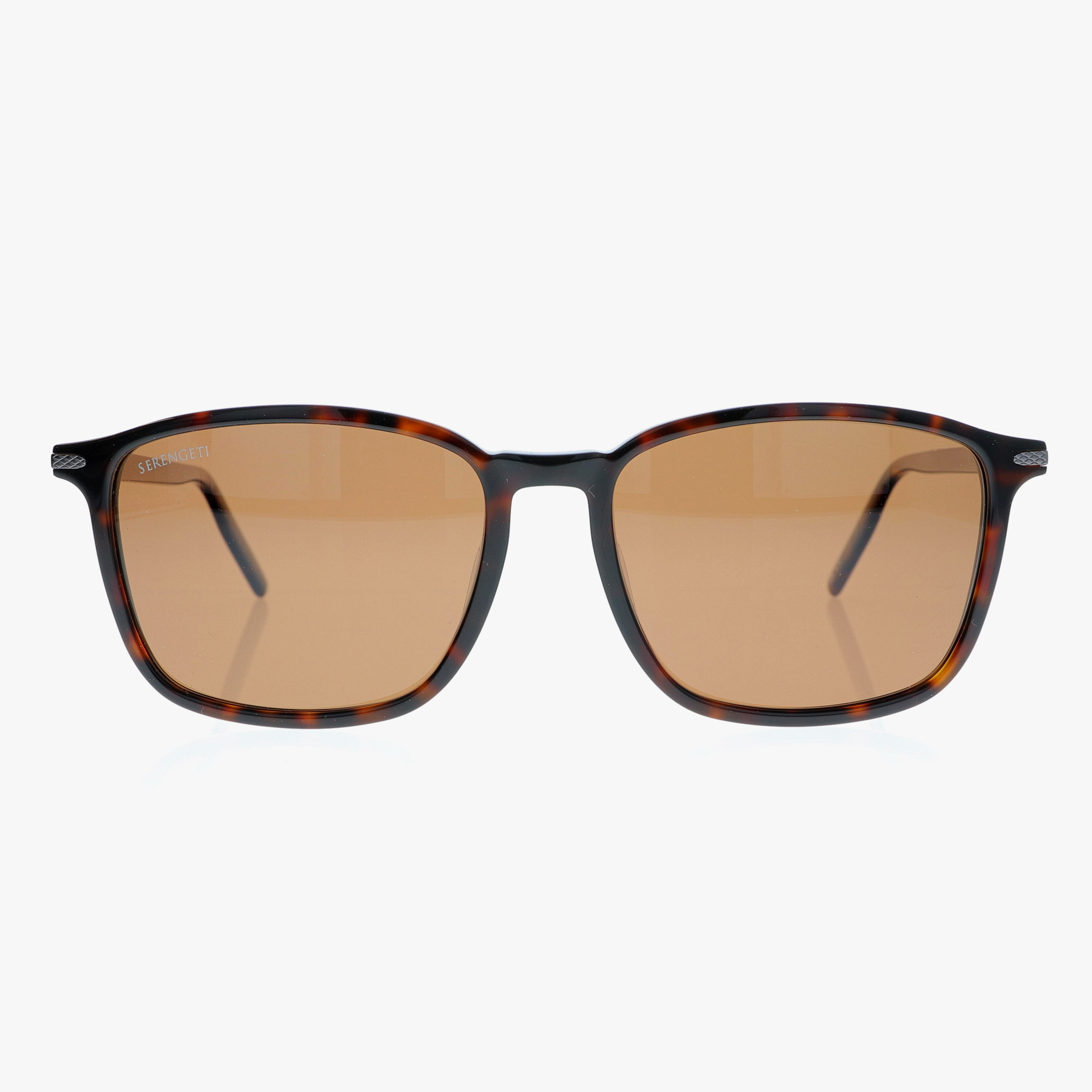 SERENGETI / LENWOOD / SHINY DARK HAVANA